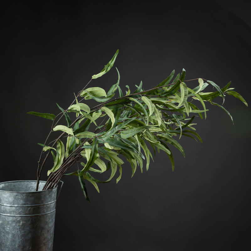 Eucalyptus Nicholii Spray-TrendGoat