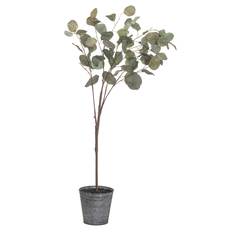 Eucalyptus Tree In Metallic Pot-TrendGoat