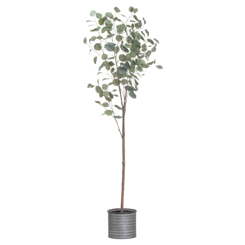 Large Eucalyptus Tree In Metallic Pot-TrendGoat